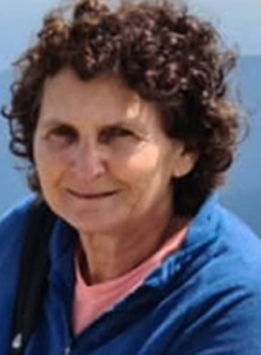 Kinneret Gat