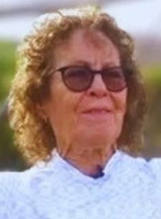 Adrian Ann Neta