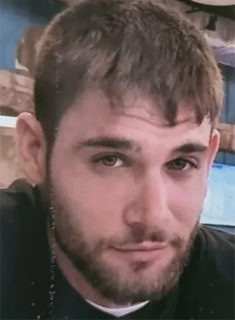 Dor Avitan